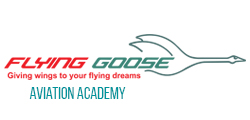 Best Aviation Institute in Kochi
