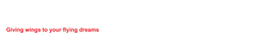 logo-white Flying Goose Aviation Institute